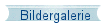 Bildergalerie